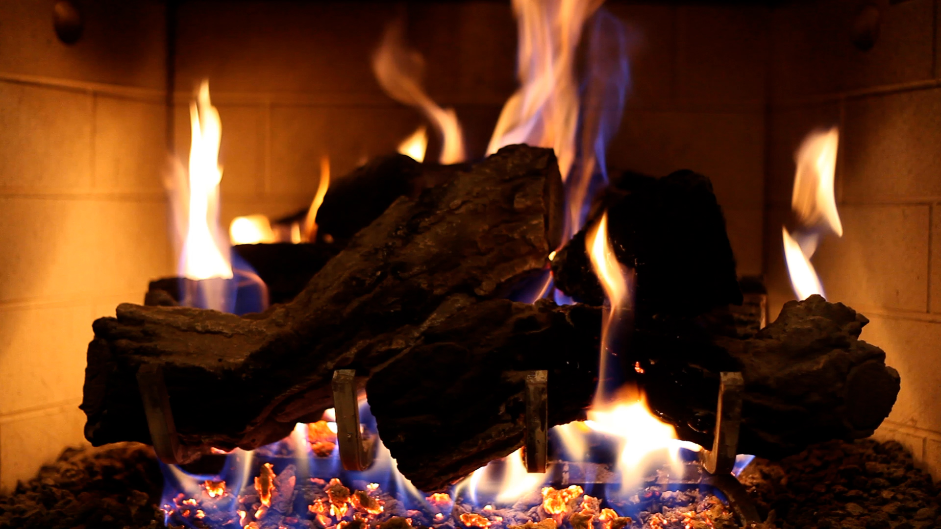 SLC6 Yule Log 2021